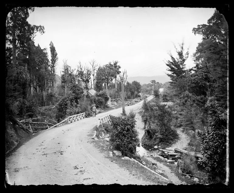 Image: Bottom of the Mungaroa [Mangaroa] Hill NZ, looking down towards Wellington