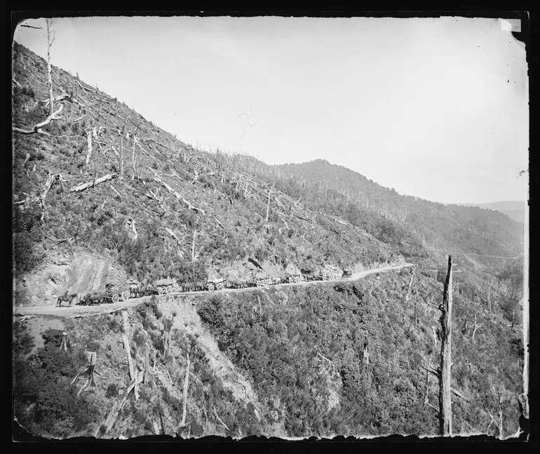 Image: Remutaka [Rimutaka] Hill, one mile from top, looking down on the Wellington side