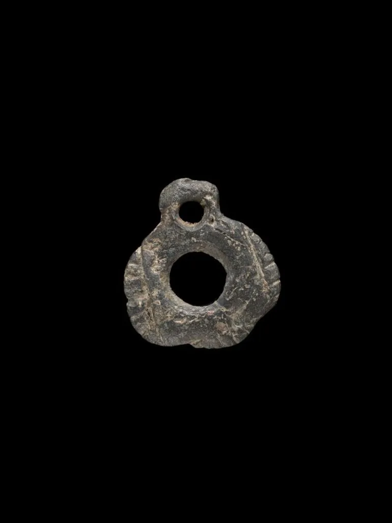 Image: Kākā pōria (bird leg ring)