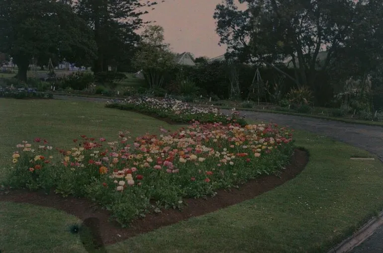 Image: In the Domain Gardens, Auckland