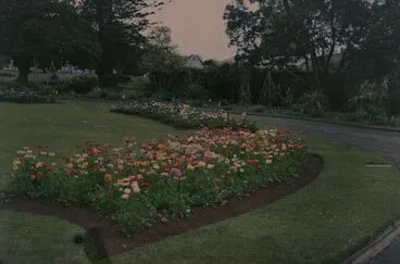Image: In the Domain Gardens, Auckland