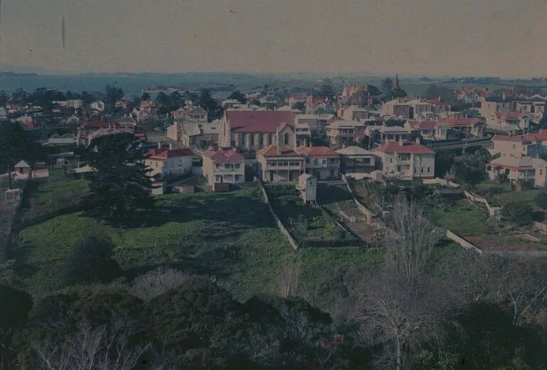 Image: Parnell from Exhibition Grounds