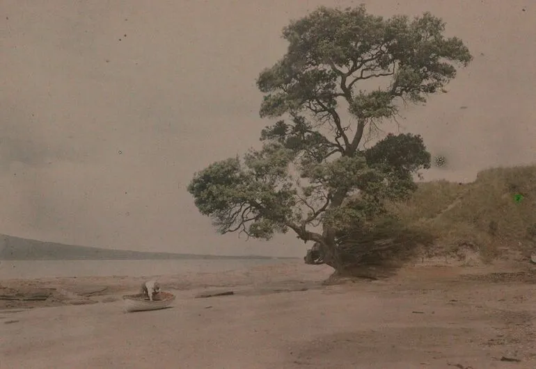 Image: On the beach, Takapuna