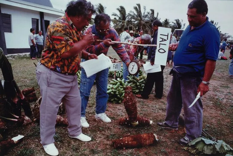 Image: Weighing taro