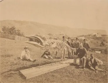 Image: Group with mounted skeleton, including James Hector