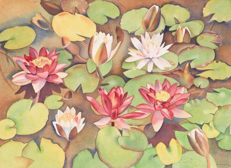 Image: Waterlilies