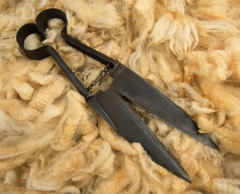 Image: Hand Shears