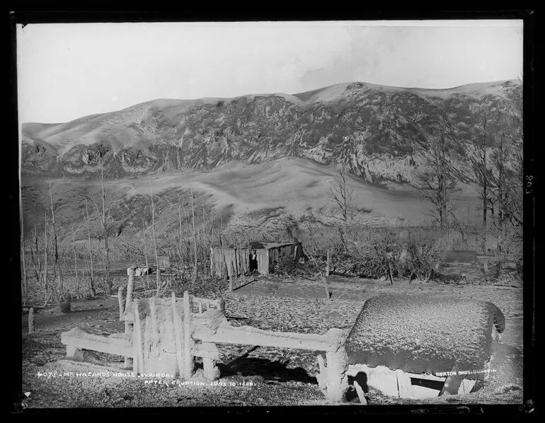 Image: Mr Hazard's House, Wairoa, after eruption June 10 1886