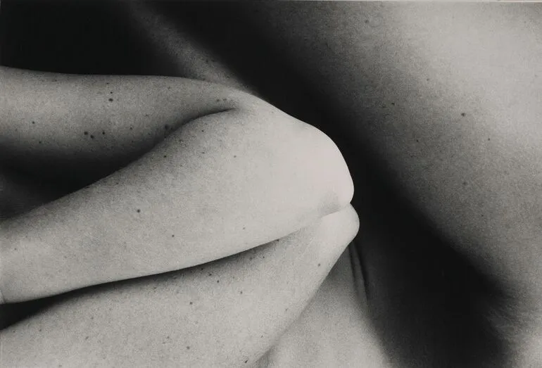 Image: Untitled. From the series: Harmonies and dislocations