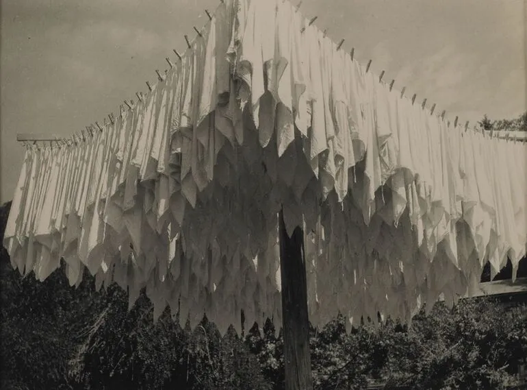 Image: Der Windelbaum im Säuglingsheim (The nappy tree in the infant home)