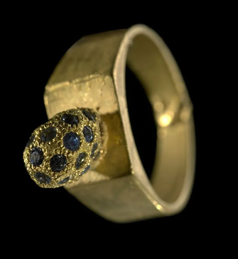 Image: Ring