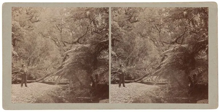 Image: Milford: Bush Scene under Sheerdown, Sutherland with gun