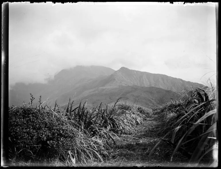 Image: Tararua Range