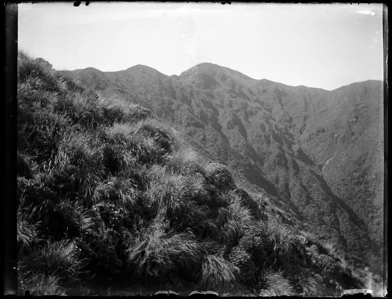 Image: Tararua Range