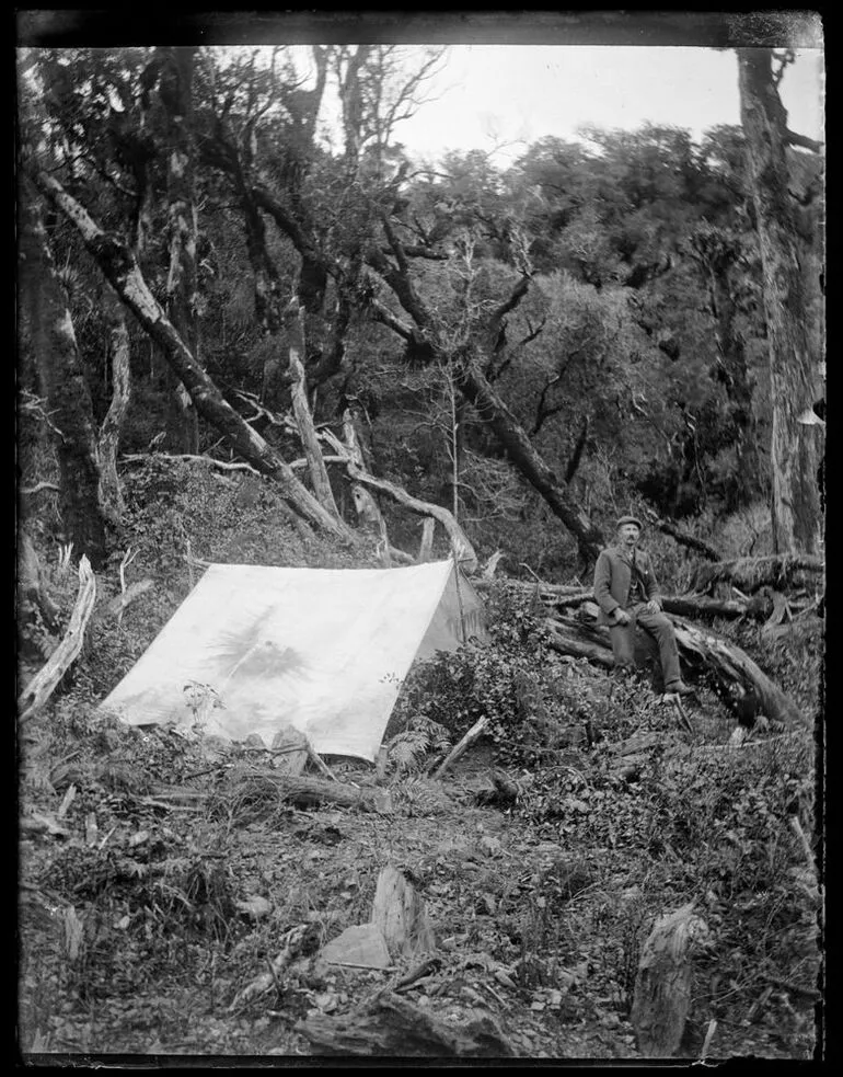 Image: Tent in the forest