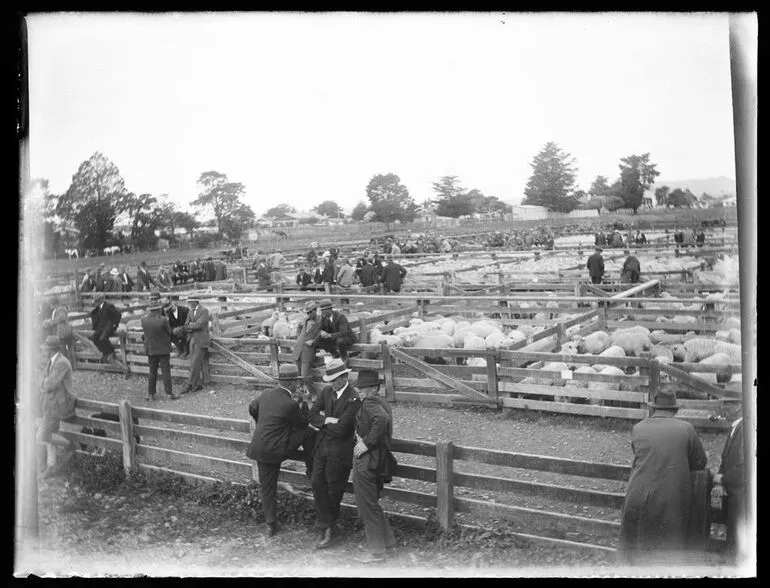 Image: Stortford Lodge saleyards, Hastings