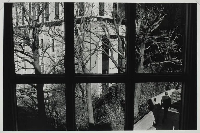 Image: Untitled, no. 6. From the portfolio: Foliage