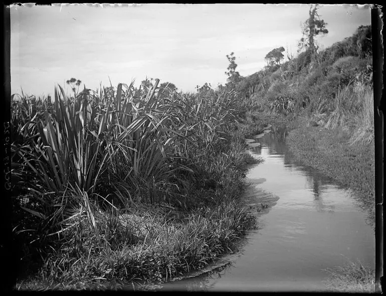 Image: Horowhenua