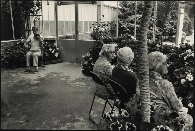 Image: Begonia House, Wellington, 1980