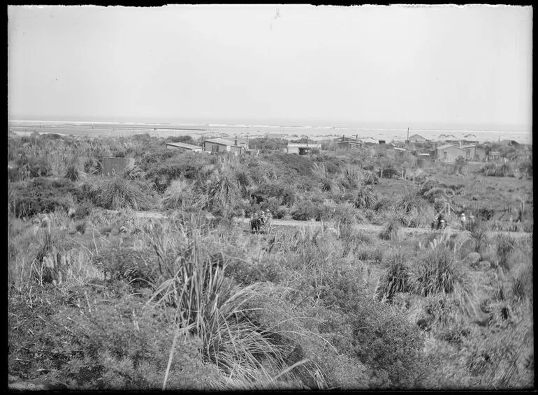 Image: Hokio Beach - Horowhenua