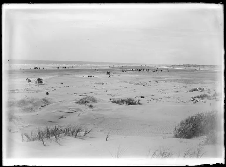 Image: Hokio Beach - Horowhenua