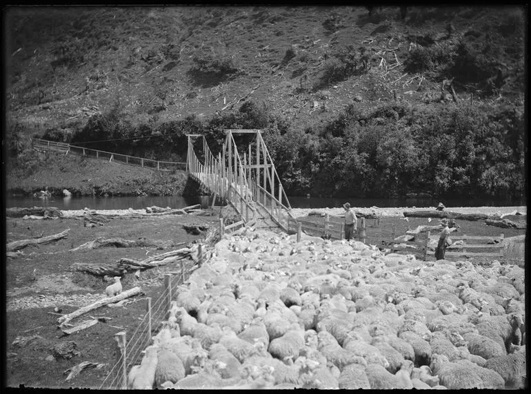 Image: Horowhenua views, 1925