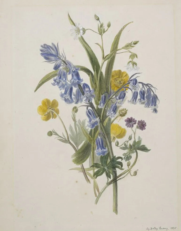 Image: Bunch of wild flowers