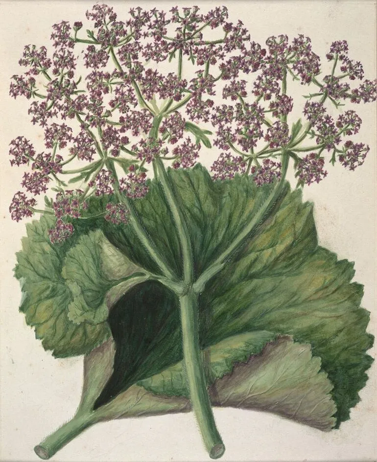 Image: Untitled