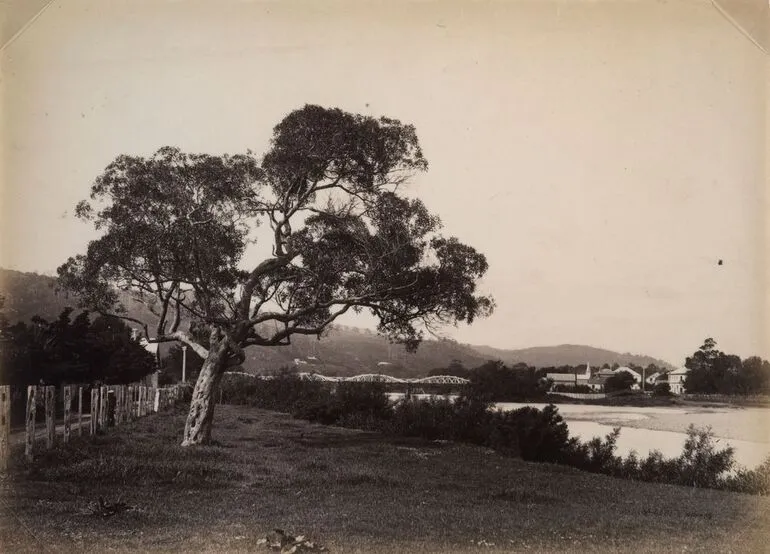 Image: Hutt Bridge