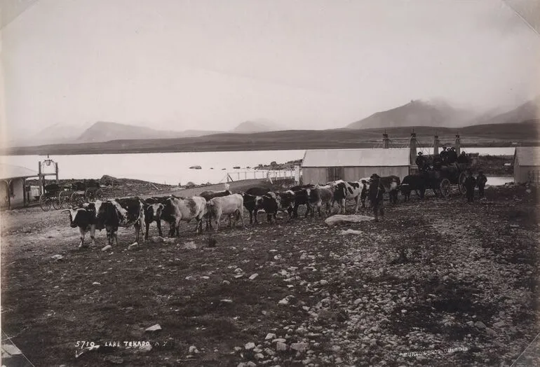 Image: Lake Tekapo