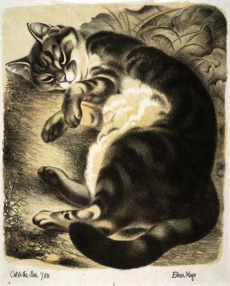 Image: Cat in the sun