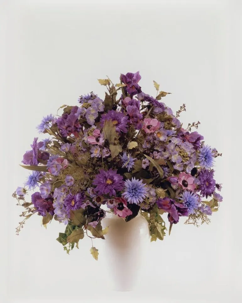 Image: Armentieres. From the series: The consolation of philosophy: Piko nei te matenga