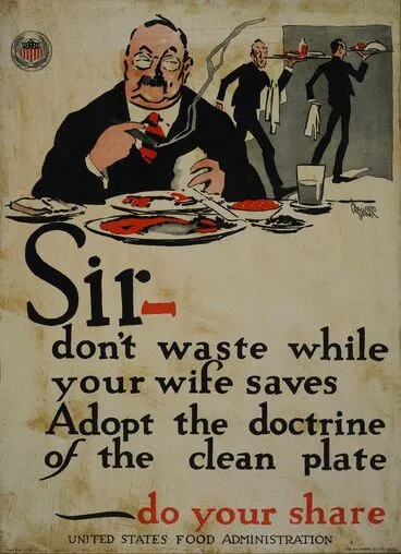 Image: Poster, 'Sir - don't waste while your wife saves'