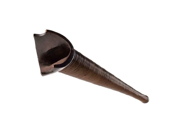 Image: Pūkaea (long trumpet)