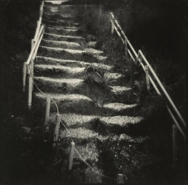 Image: Flight of steps