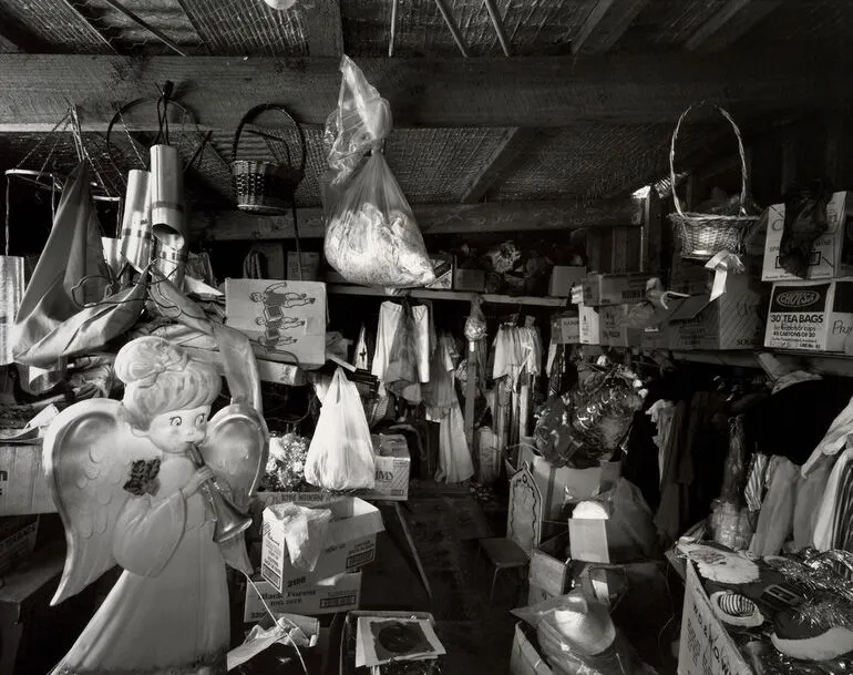Image: Interior #14 'Danceland', Rotorua, 19 March 1993