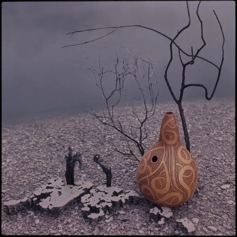 Image: Gourd with mudpools/thermal setting
