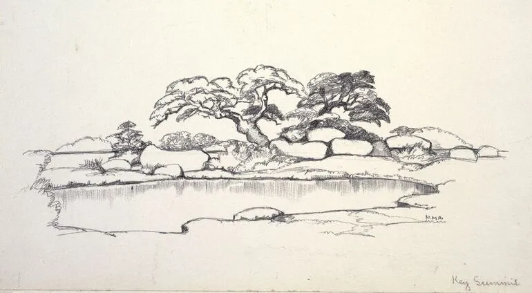 Image: Pencil sketch of mountain beech (Nothofagaceae - Nothofagus solandri var. cliffortioides) on a mountain tarn, first appeared in 'Mountain Flowers of New Zealand'.
