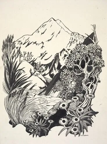 Image: Cover design for Mount Cook National Park booklet