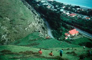 Image: Archaeological party at lunch on crest of inland cliff directly above Paekakariki railway station