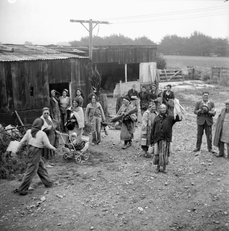 Image: Maori workers at a Services vegetable production project