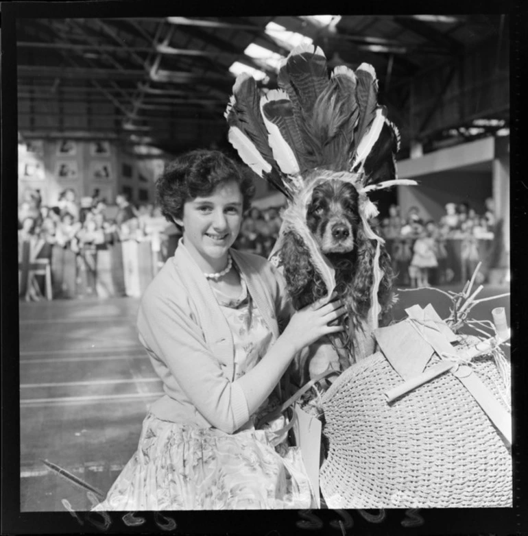 Image: A decorated dog in a pets parade