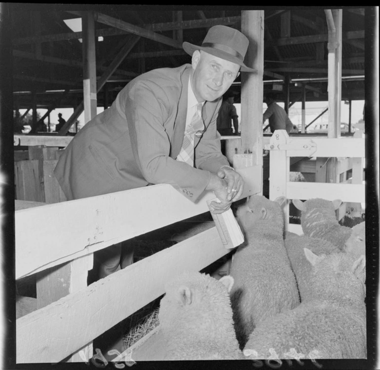 Image: Sheep and owner at Carterton Agricultural and Pastoral Show