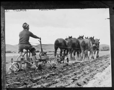 Image: Tillage scene, showing an unidentified man driving a horse-drawn plough through a paddock, possibly Christchurch district