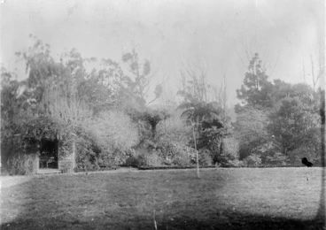 Image: Thomas Mason's garden, Taita
