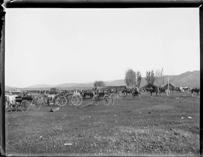 Image: Visiting buggies, during a meeting of the Maori parliament at Pakirikiri near Gisborne