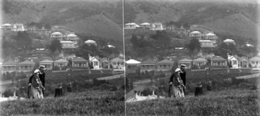Image: A stereoscopic view of Patanga Crescent, Thorndon, from the Wellington Botanic Gardens
