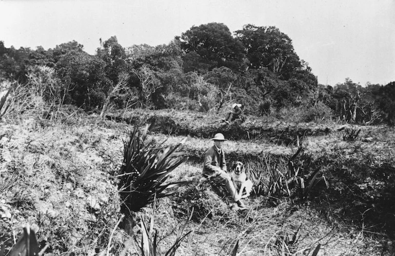 Image: Site of Te Kooti's pa at Te Porere