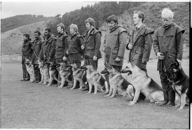 Image: Police dogs in training and their handlers, Trentham