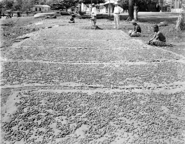 Image: Cocoa beans drying in the sun, Samoa